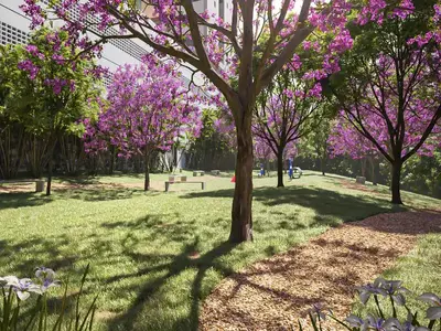 Alpha Park View - lazer 20